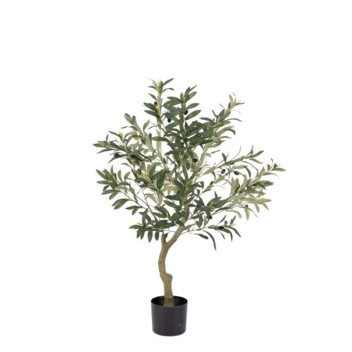 PIANTA ULIVO CON VASO H.90